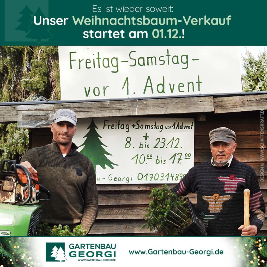 Es ist wieder soweit: Unser Weihnachtsbaum-Verkauf startet am 01.12.!